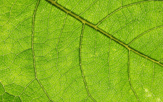 542721 (a): :1920x1200